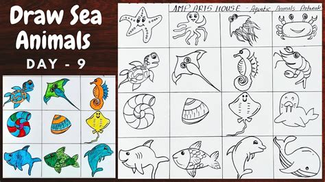 drawing of aquatic animals|Aquatic Animal Drawing Images .